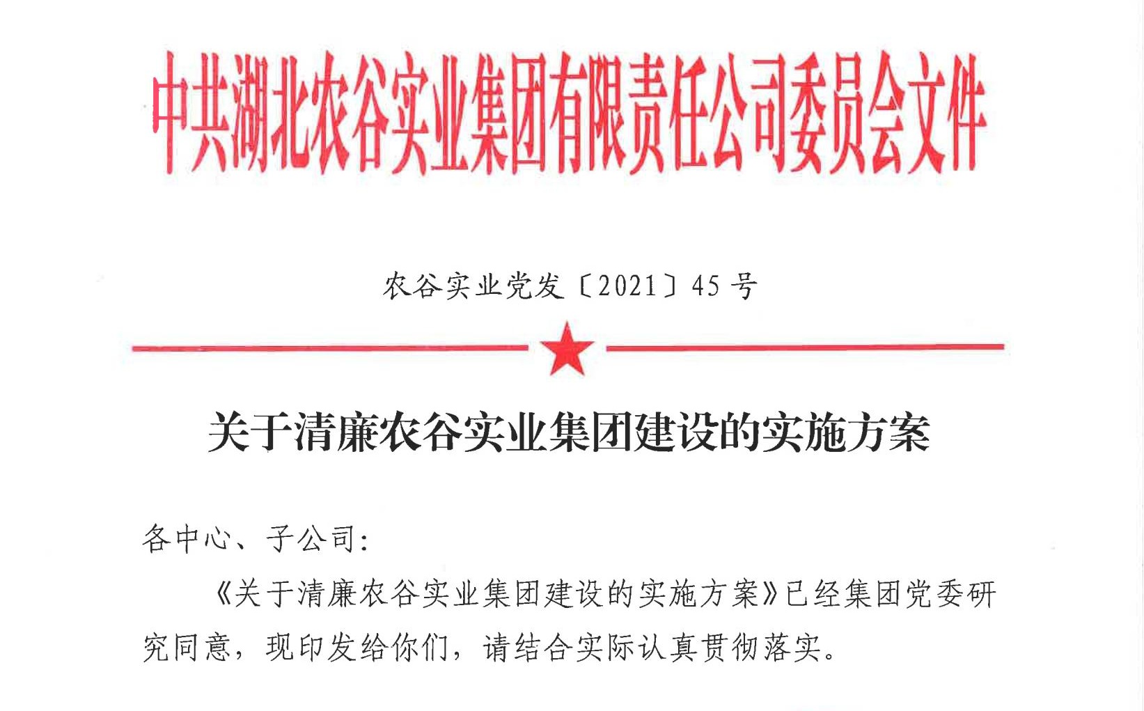 關(guān)于清廉農(nóng)谷實(shí)業(yè)集團(tuán)建設(shè)的實(shí)施方案
